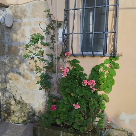 Gialla E Rosa