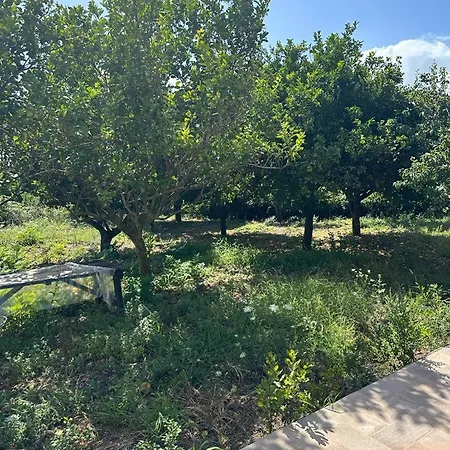 Holiday home Gialla E Rosa *